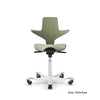HAG Capisco Puls 8020